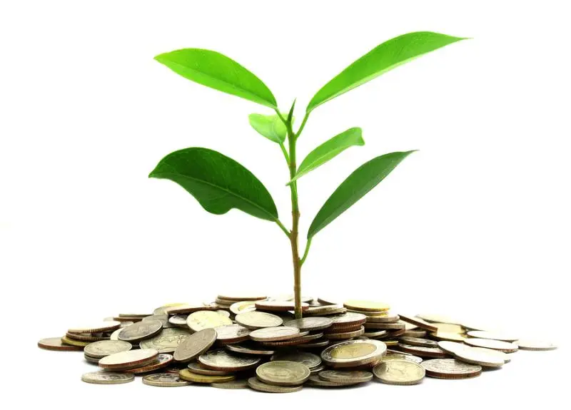 Инвестиции SKF в сохранение экологии | Свежие новости в Ижевске