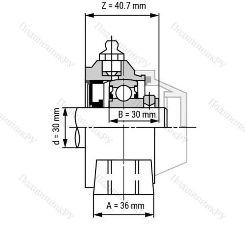 Подшипниковый узел WP-SSBP 206 - Вал: 30 мм от производителя  LPZ