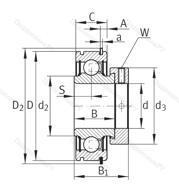 Закрепляемый подшипник RAE 25-XL-NPP-NR